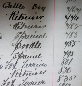 Register of Dogs. Port Melbourne Historical and Preservation Collection